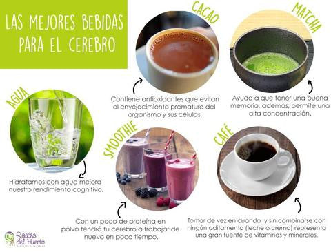 Las mejores bebidas para el cerebro