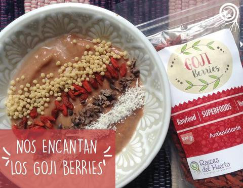 Que-son-las-goji-berries-ballas