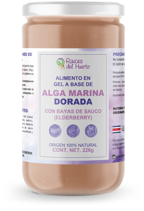 Sea moss- Alga Marina Dorada sabor BAYAS DE SAUCO- EDELBERRY 226g/ Raíces del Huerto