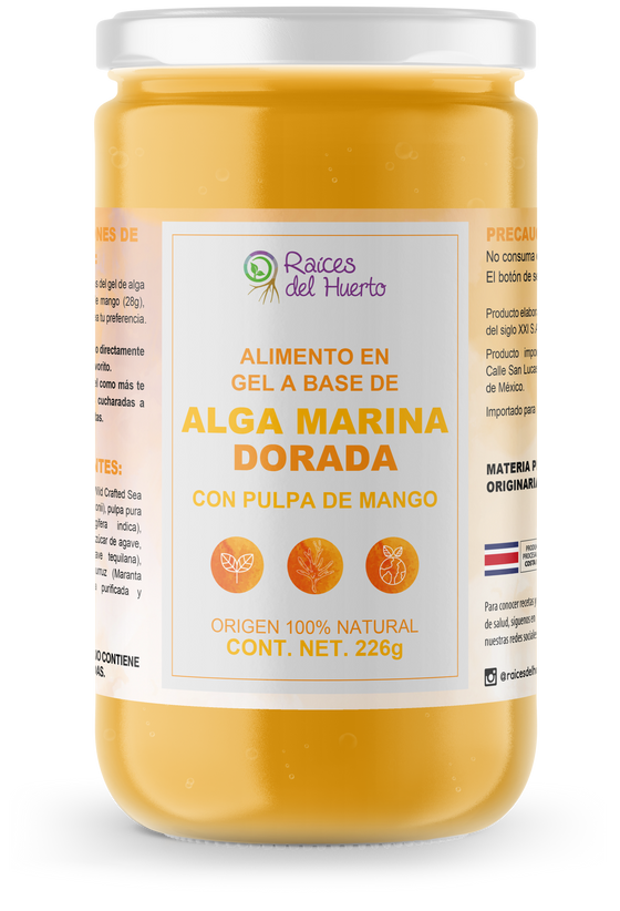 Sea Moss- Alga Marina Dorada sabor MANGO 226g/ Raíces del Huerto