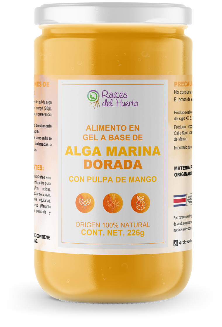 Sea Moss- Alga Marina Dorada sabor MANGO 226g/ Raíces del Huerto