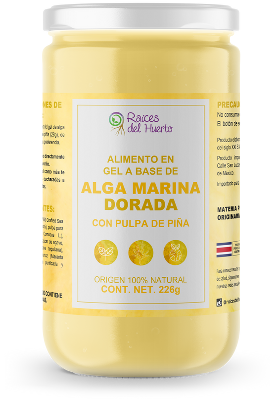 Sea Moss- Alga Marina Dorada sabor PIÑA 226g/ Raíces del Huerto