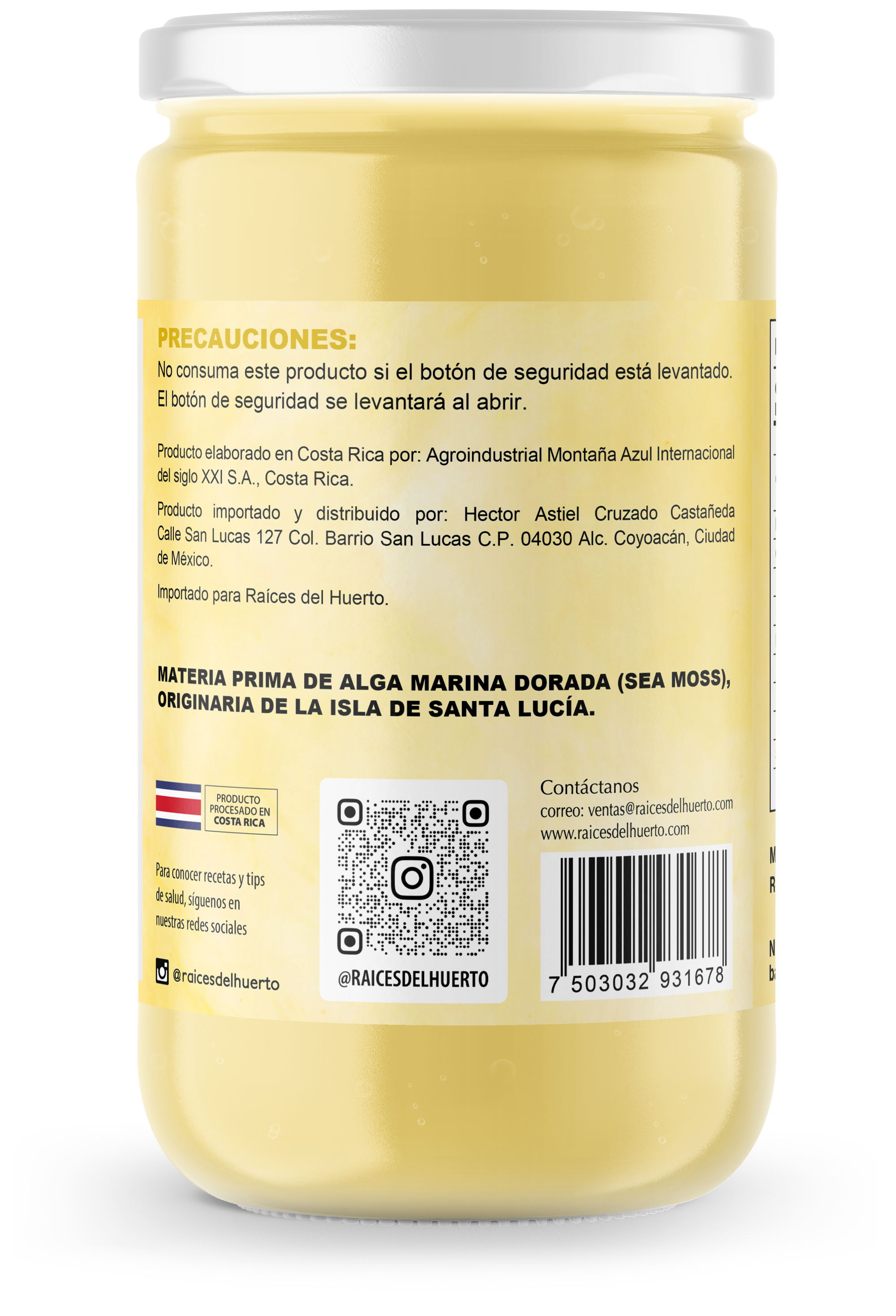 Sea Moss- Alga Marina Dorada sabor PIÑA 226g/ Raíces del Huerto