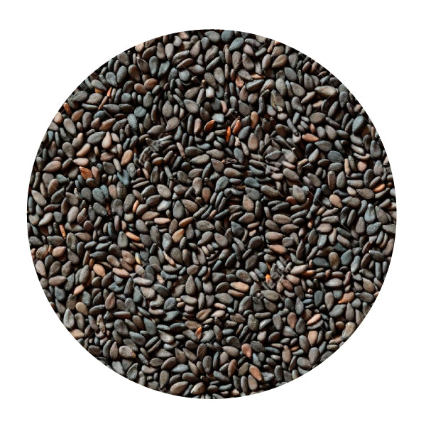 Ajonjolí negro a granel